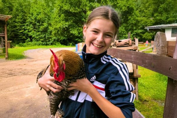 letnitabor3-homepage letnitabor3-homepage